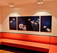 KRAUSCH DESIGN Visual Communikation Systems OHG